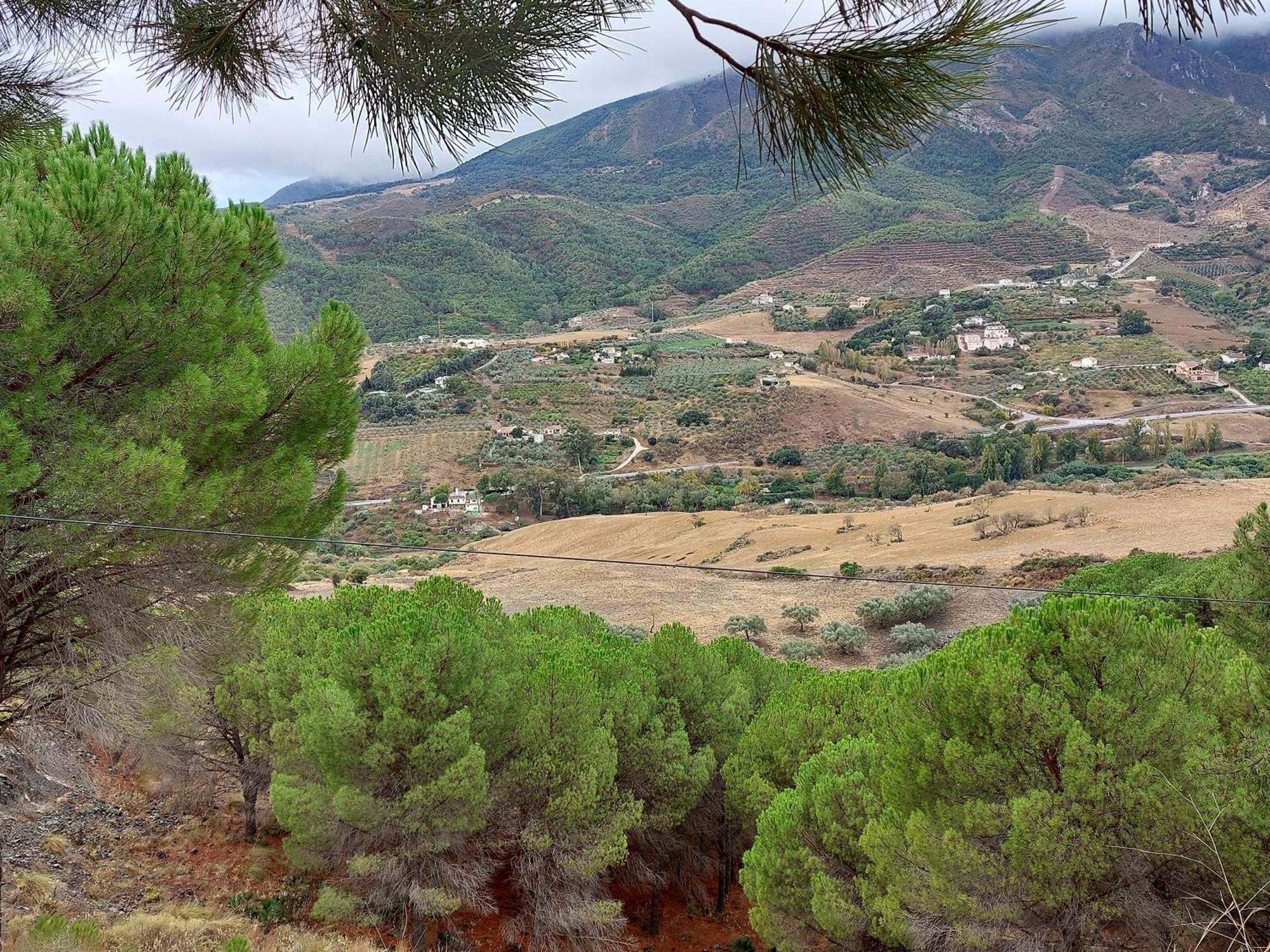 El Bufon De La Corte Carratraca Buitenkant foto