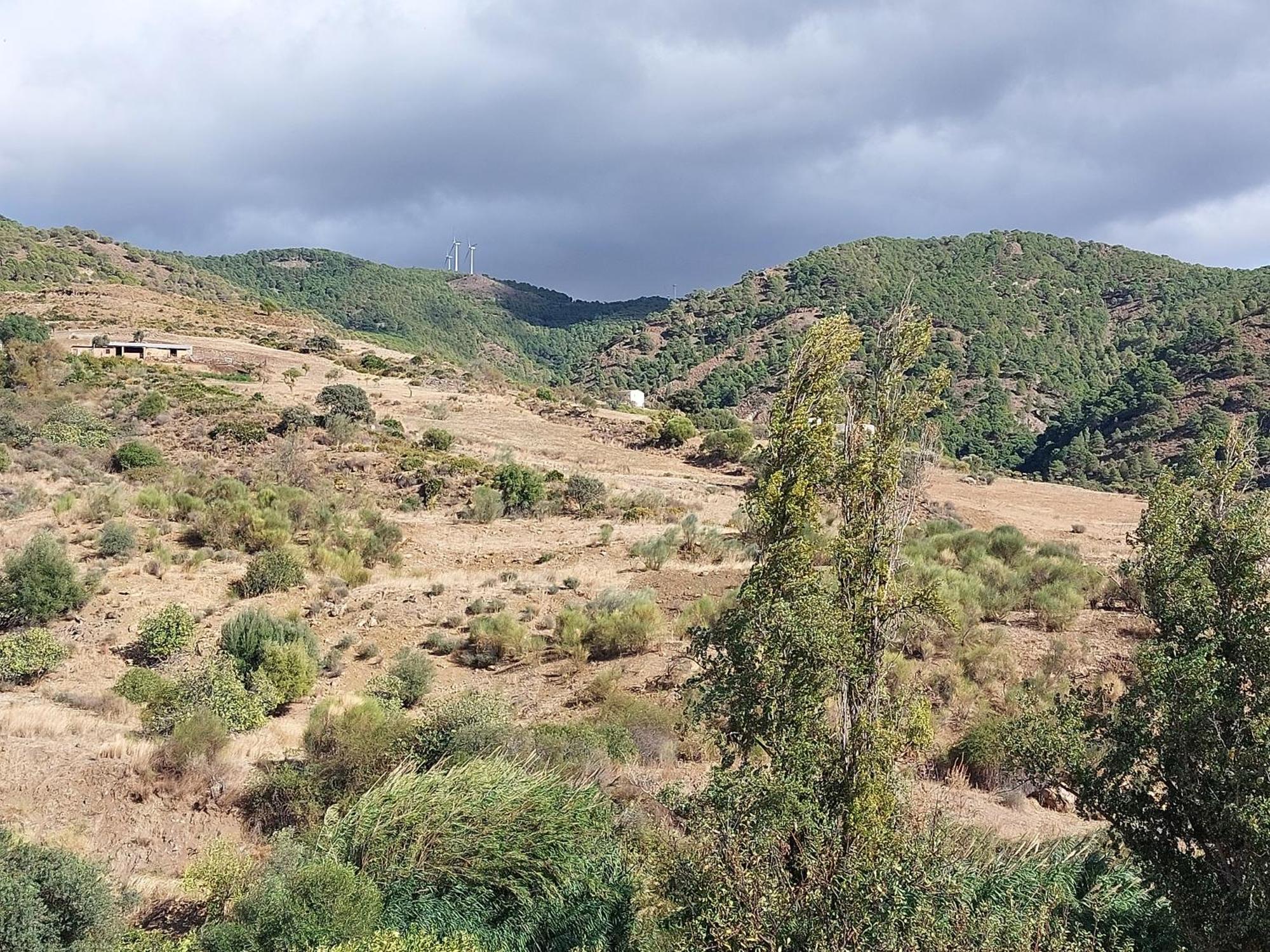 El Bufon De La Corte Carratraca Buitenkant foto