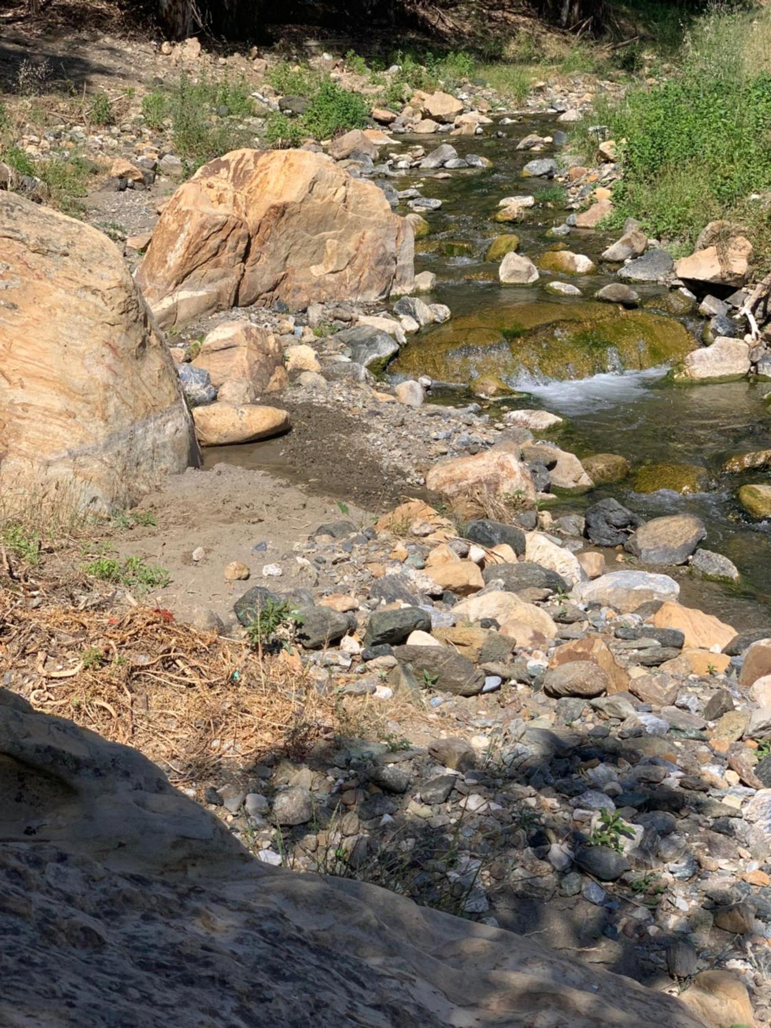 El Bufon De La Corte Carratraca Buitenkant foto